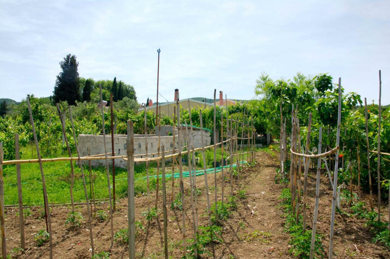 Country House Kanakádes Екстериор снимка